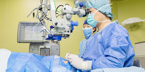 海外提供角膜による角膜移植手術