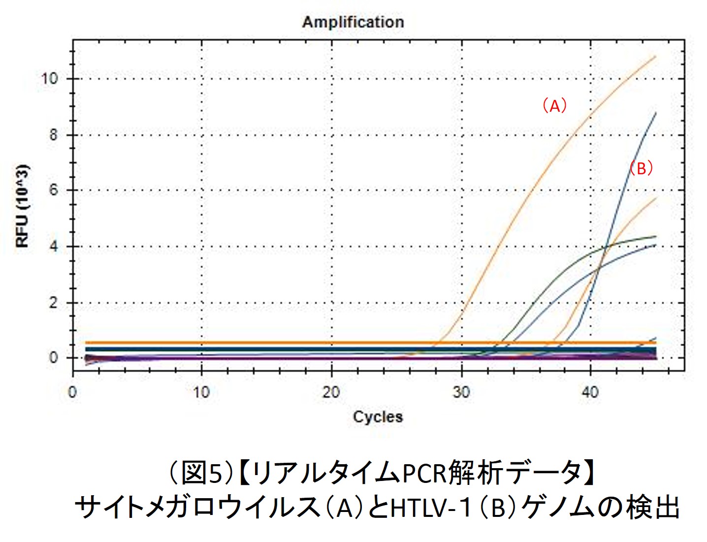 （図5）【リアルタイムPCR解析データ】サイトメガロウイルス（A）とHTLV-1（B）ゲノムの検出