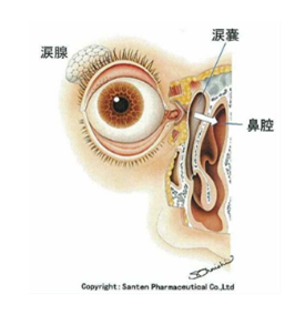 涙嚢鼻腔吻合術